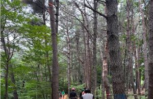 양산시, 웅상체육공원 ‘솔밭황톳길’ 완공