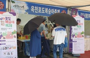 옥천 포도·복숭아 축제 홍보에 박차