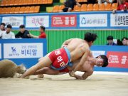 장흥군, 제61회 대통령기 전국장사씨름대회 성황