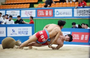 장흥군, 제61회 대통령기 전국장사씨름대회 성황