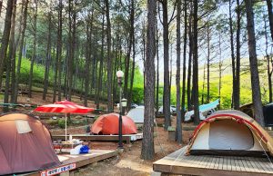 아이와 함께 떠나는 여름휴가, 보성 어때?