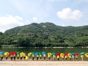 하동군 축제, 별천지 하동의 멋과 맛에 빠져들다