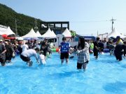태안군, ‘제1회 신진도 오징어&수산물 축제’ 성료