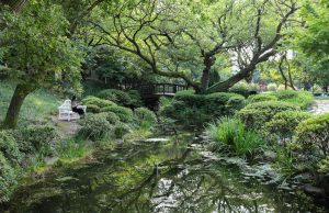 경주엑스포대공원 신라왕경숲,‘아름다운 도시숲 50선’선정