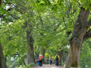 담양 명품숲, 산림청 주관 ‘아름다운 도시숲 50선’ 선정 쾌거