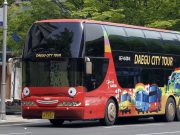 대구시티투어버스 타고 신윤복‘미인도’보러 가자