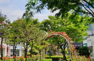 목포 십자형 도시숲,산림청 ‘아름다운 도시숲 50선’ 선정