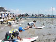 보성군, 국가중요농어업유산축제 개최