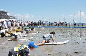 보성군, 국가중요농어업유산축제 개최