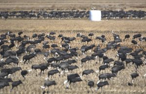 서산시, 생태계서비스지불제 신청자 모집