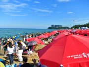 속초시, 여름철 성수기 수상안전 집중 점검 실시