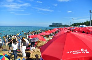 속초시, 여름철 성수기 수상안전 집중 점검 실시