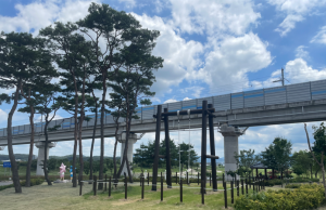 영천시, 유정숲 민속그네 설치 새로운 관광명소 부상
