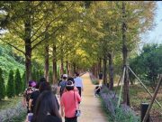 보랏빛 향기 속 우로지 자연 숲 다 함께 걷기 추진