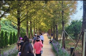 보랏빛 향기 속 우로지 자연 숲 다 함께 걷기 추진