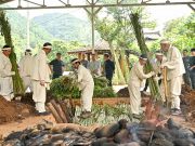 정선군, ‘정선 유평삼베민속’ 삼굿 행사 개최