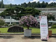 제5회 충청남도 무궁화 우수분화 품평회 개최