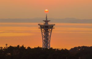 홍성스카이타워, 지역경제 활성화의 새로운 동력으로 부상