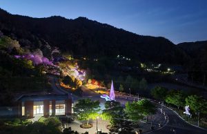 홍천 무궁화수목원, 야간경관조명 운영