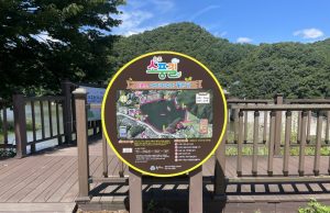 원주시, 명품 숲길 ‘원주소풍길’ 운영