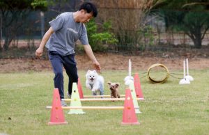 태안군, 숙박·캠핑시설 할인행사 돌입