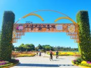 ‘2024고양가을꽃축제’ 개최