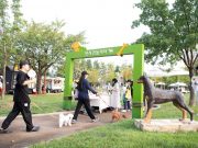 구미시, ‘구미시 반려동물 문화축제’ 성황리 개최