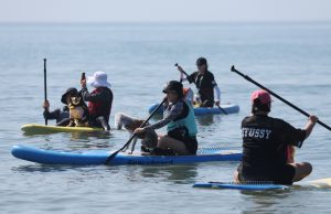 반련견 동반 태안 서프 독 프로그램 인기
