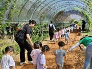 홍성군 매봉재, ‘힐링맨발길’ 관광 명소로 부상