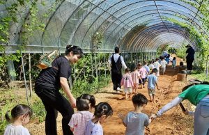 홍성군 매봉재, ‘힐링맨발길’ 관광 명소로 부상