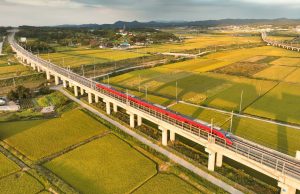 황금 들녘 달리는 서해선 열차