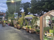 ‘2024 홍천목재정원박람회’에서 가을밤 산책