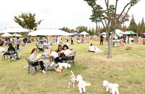 경주엑스포대공원, ‘경주 반려견 페스티벌’ 개최