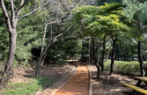 광명시, 도심 속 공원‘맨발 걷기 길’조성