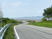 무안군, 전국 걷기 및 마라톤대회 개최