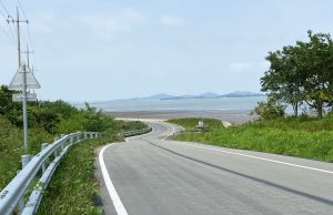 무안군, 전국 걷기 및 마라톤대회 개최