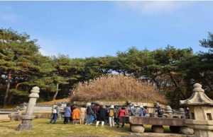 억새 절정기 건원릉에서 조선왕릉의 역사를 만나다