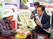전국 롯데마트와 함께하는 영천포도축제 개최