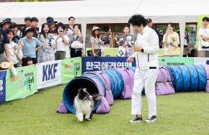 ‘2024 이천펫축제’ 1만 5천여 명 방문으로 성황리 폐막