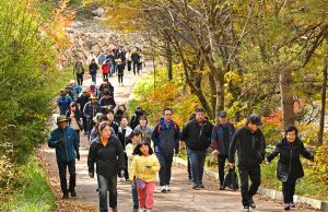 정선군, 2024 항골 숨바우길 트레킹 대회 개최