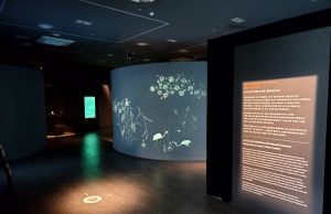 함안박물관, ‘도자기에 핀 꽃, 상감청자’전시 개최