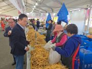 제22회 홍천 인삼·한우 명품 축제 개막