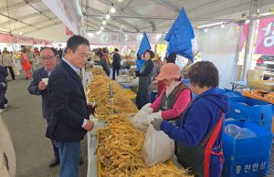 제22회 홍천 인삼·한우 명품 축제 개막