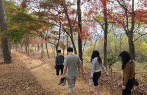 보성군, ‘내 맘에 쏙 드는 주민생활권 도시 숲’과 ‘맨발로’ 조성