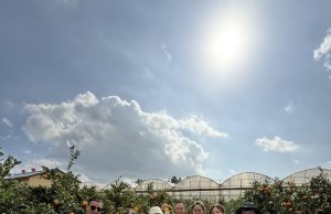 제주 사계절 가족 친화 콘텐츠 베트남에 선보여