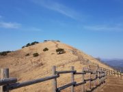 코레일 민둥산역, 은빛 억새축제와 함께한 40일간의 여정