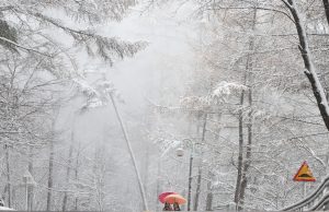 함양대봉산휴양밸리 ‘설국’
