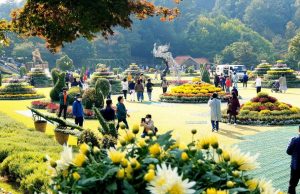 충북학사 재사생, 청남대 가을 축제 관람