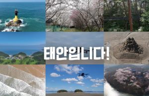 태안군, 道 주관 ‘드론 영상·사진 공모전’ 최우수상!