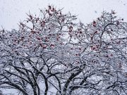 지리산의 첫 눈